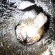 Image for article titled This Is What Happens When You Don't Drive Your V10 Audi Hard Enough